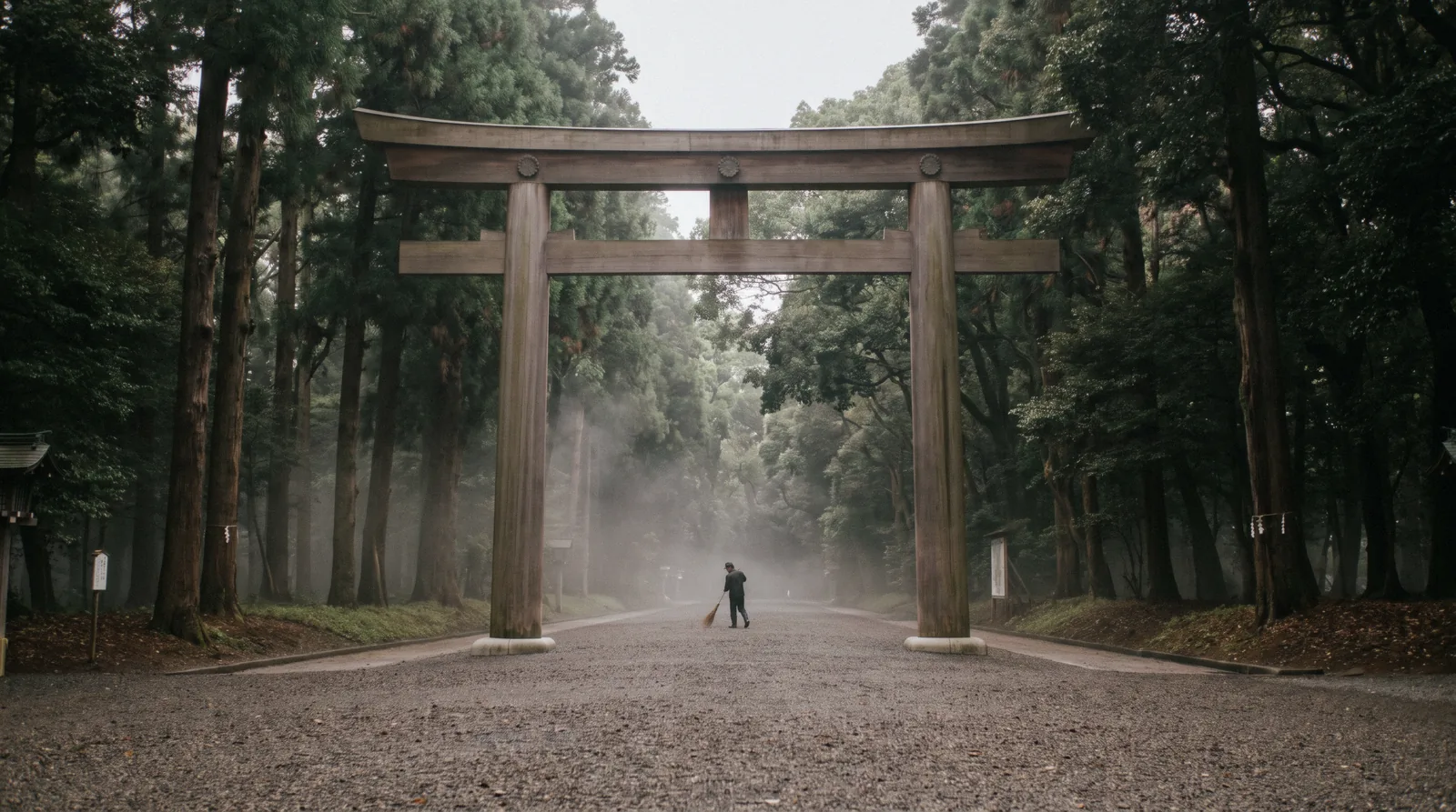 The great wooden torii on the forest approach to Meiji Jingu shrine in Tokyo, Japan