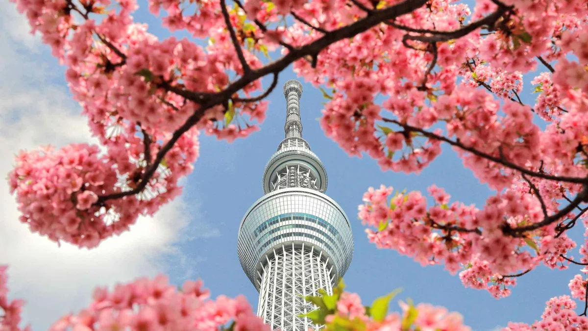 Sightseeing coach passengers viewing Tokyo Skytree from below during a full-day Tokyo bus tour and bay cruise, Tokyo Japan
