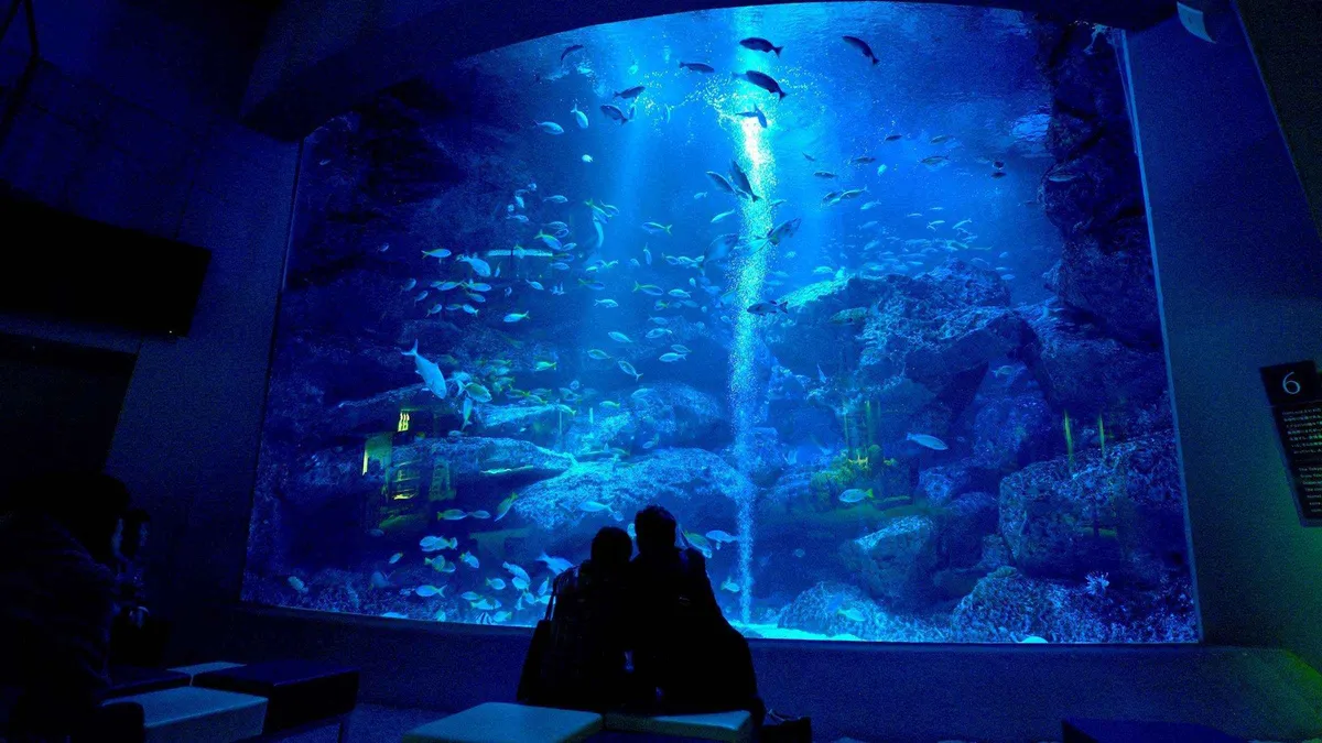 Visitors viewing jellyfish tanks at Sumida Aquarium beside Tokyo Skytree on a combo admission ticket, Tokyo Japan