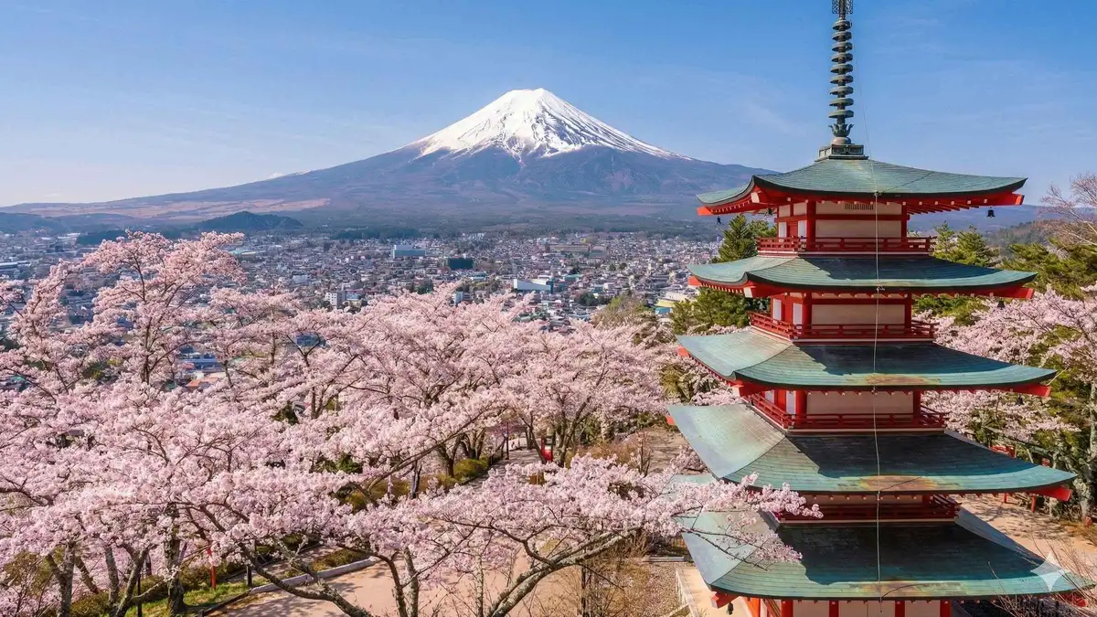 Chureito Pagoda framed against Mount Fuji on a Tokyo day trip to Lake Kawaguchi, Mount Fuji Japan