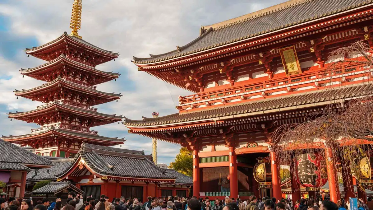 Local guide leading travelers past a quiet Tokyo shrine on a private customized walking tour, Tokyo Japan